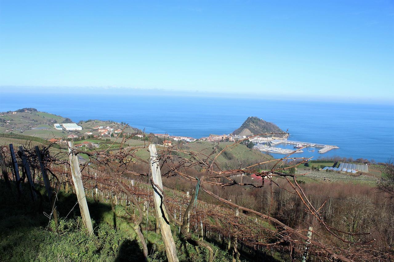 Gazteategi Bed & Breakfast Zarautz Dış mekan fotoğraf